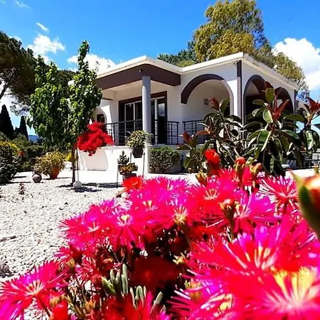 Villa Filio'S Zakynthos Gaitani